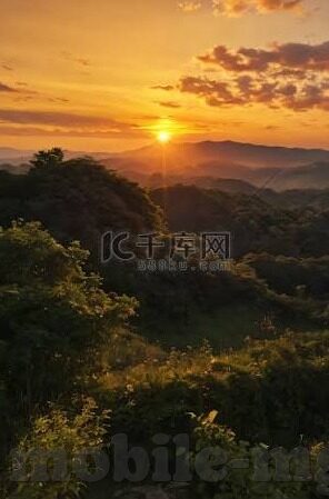 乐鱼体育可靠吗-乐鱼体育，可靠性的多维度考量
